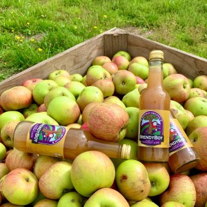 Lavender Cider
