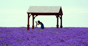 Photography Pass: 2 Hour Daytime
