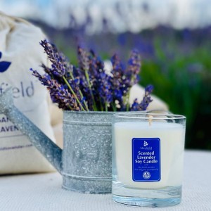 Lavender Soy Candle