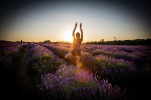 Happy Days Sunset Lavender Yoga