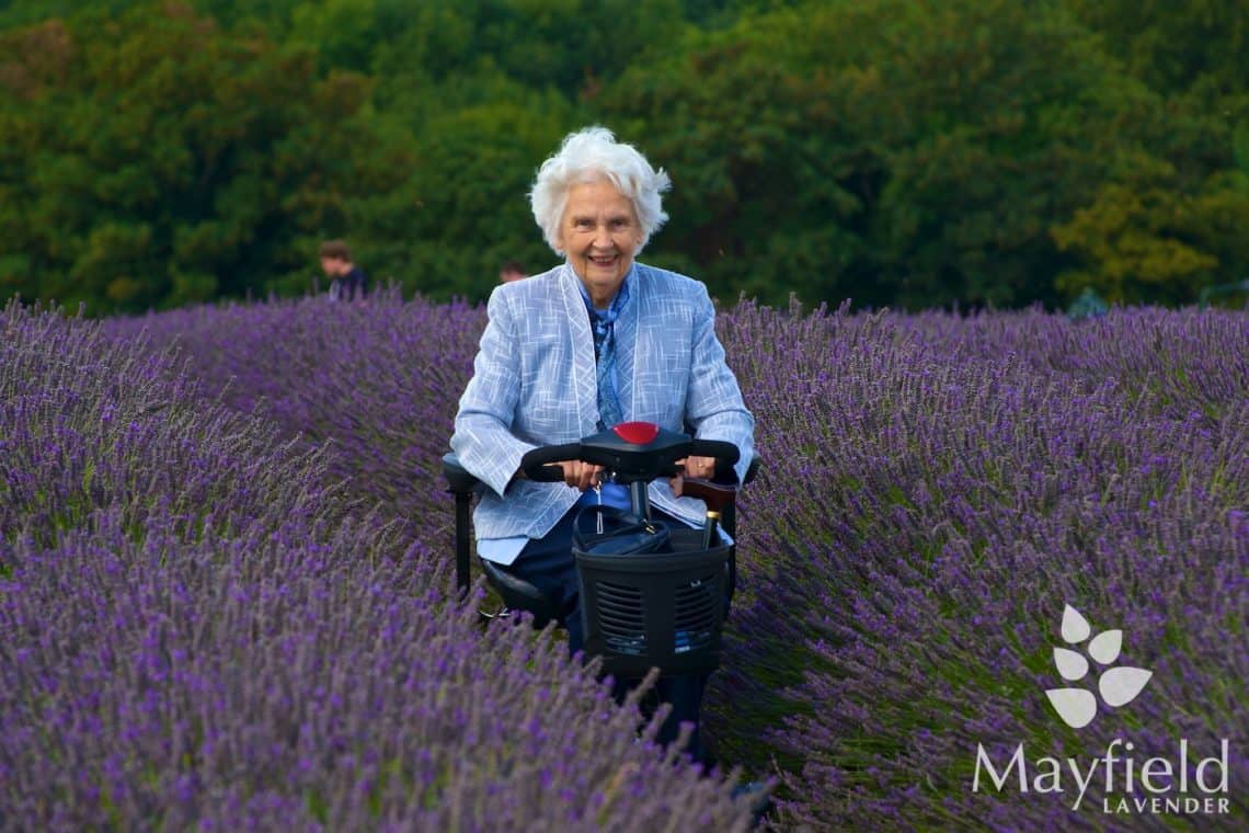 Disabled access at Mayfield Lavender Farm