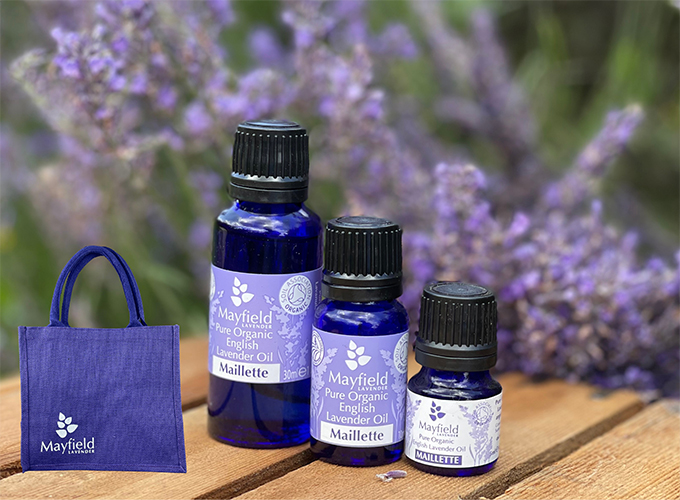 Lavender oil bottles on lavender