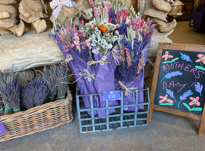 mayfield lavender bunches