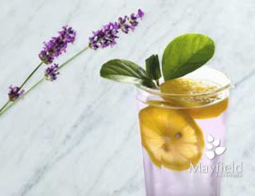 Lavender Lemonade