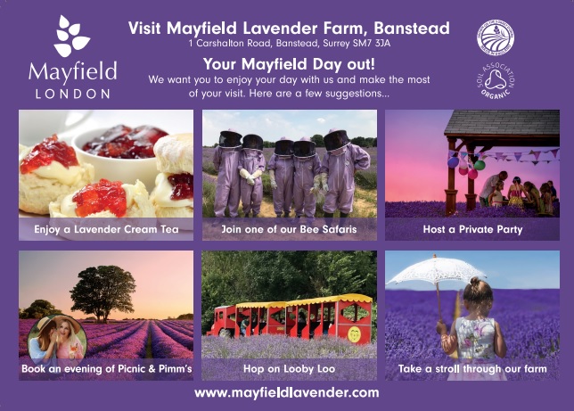 A day at Mayfield