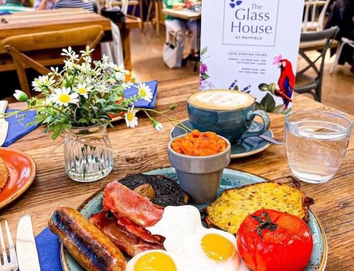 Early Birds breakfast meal promotion!