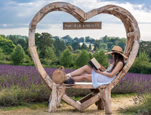 Announcing the Winner of Our Summer 2024 Photography Competition