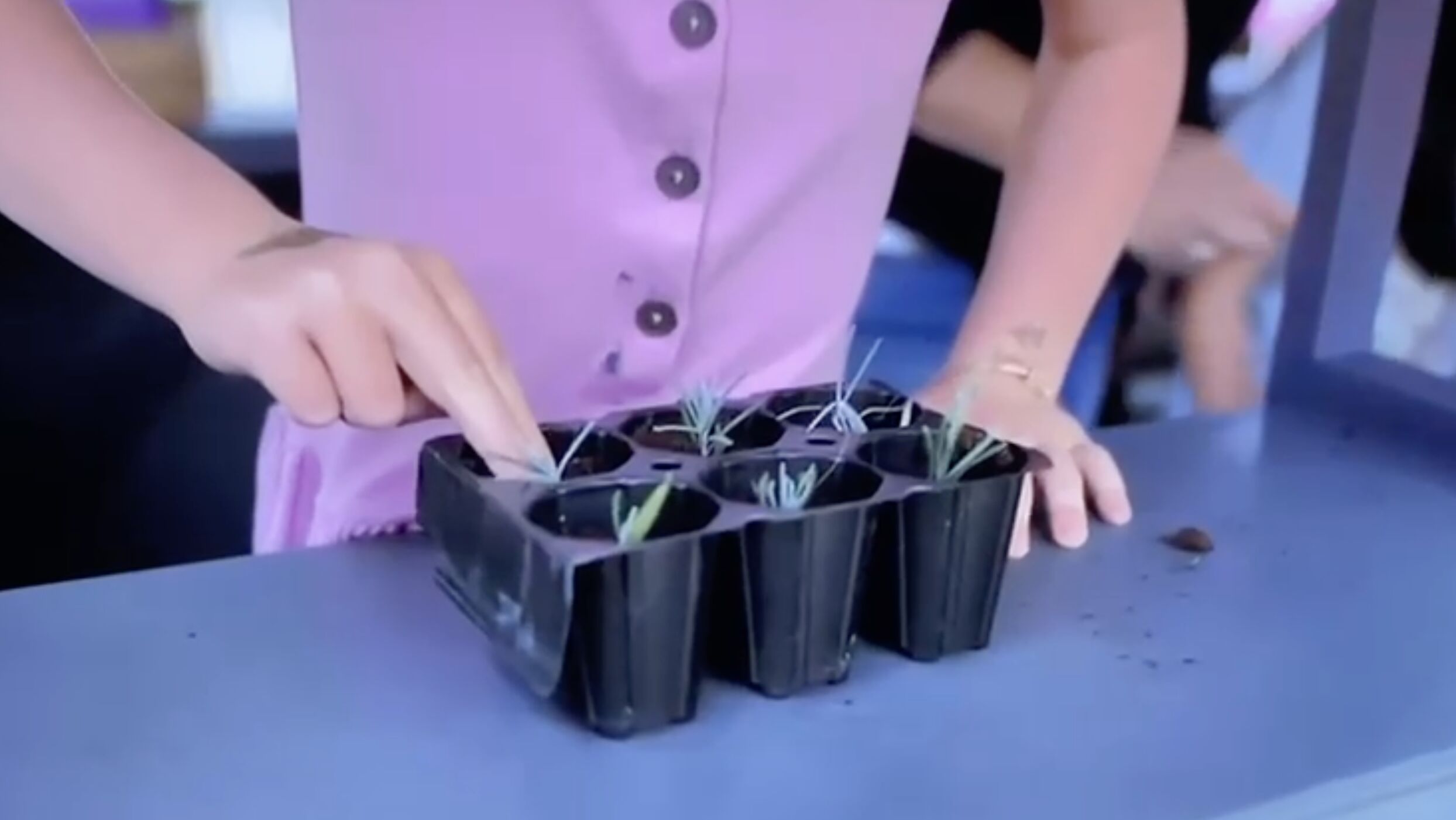 take cuttings img