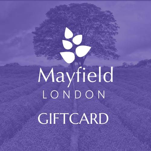 eGift Card