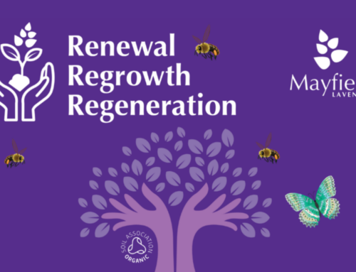 Have You Discovered RRR at Mayfield?